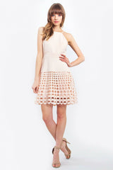 Beautiful Stranger Blush Fit and Flare Cami Dress