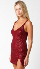 Shine So Bright Burgundy Sequin Mini Dress