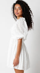 Samantha White Eyelet Puff Sleeve Mini Dress