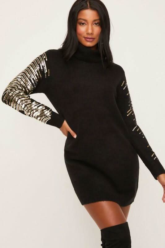 Kiara Black Long Sleeve Turtleneck Sweater Dress